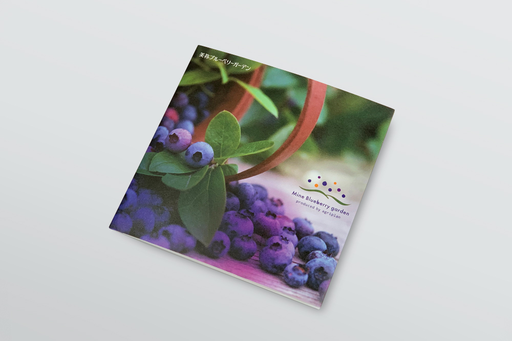 美祢ブルーベリーガーデンのリーフレット
